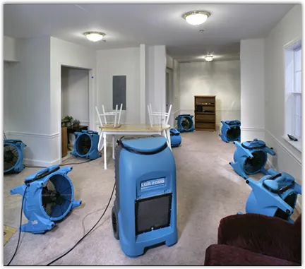 Drying & Dehumidification in Ormond-by-the-Sea, FL