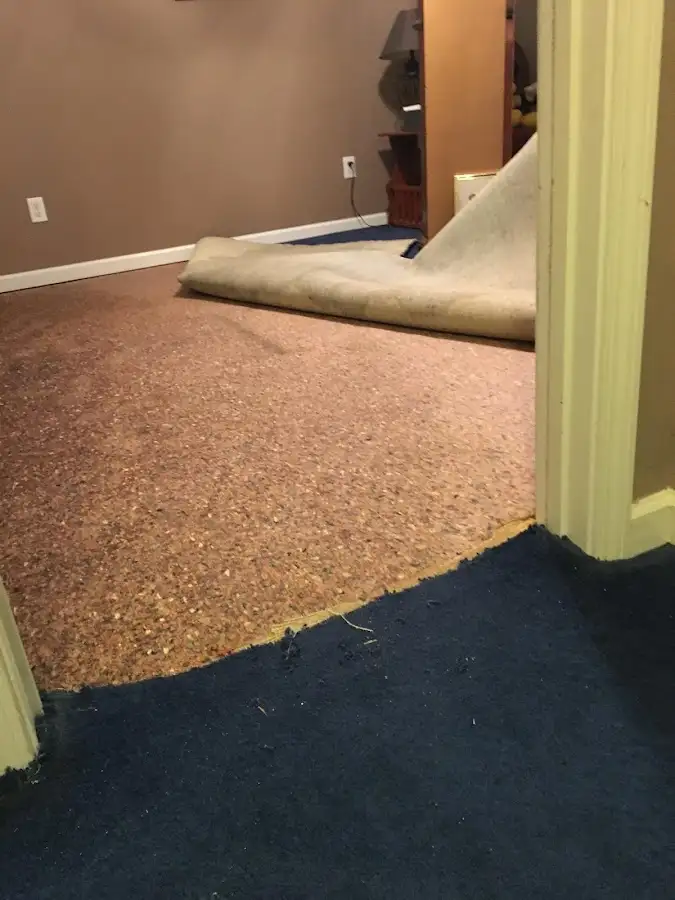 Carpet pad removal revealing water damage during Drying & Dehumidification in Ormond-by-the-Sea