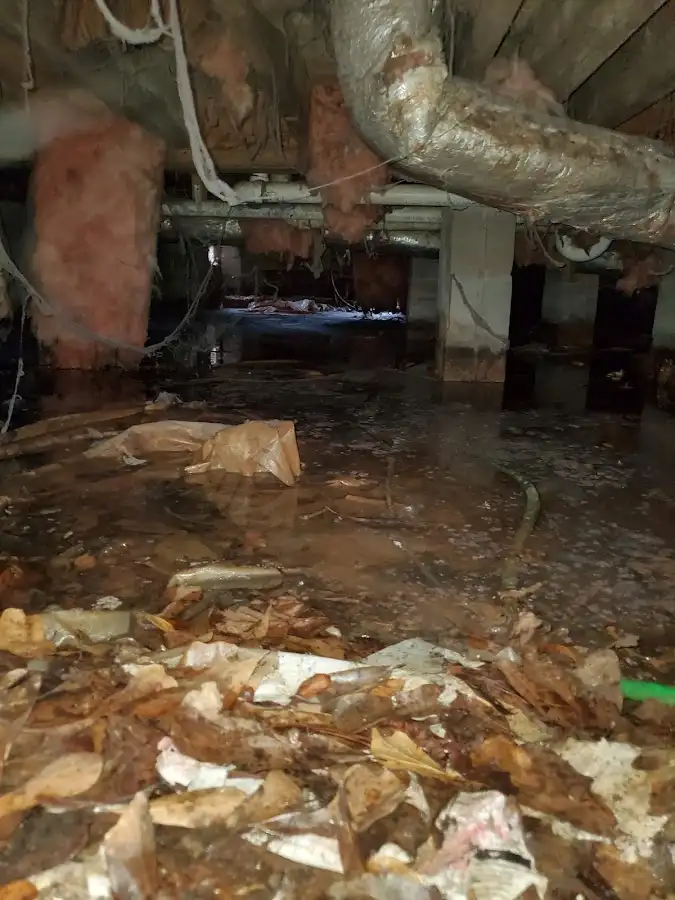 Crawl space flood assessment for Leak Detection & Repair in Ormond-by-the-Sea
