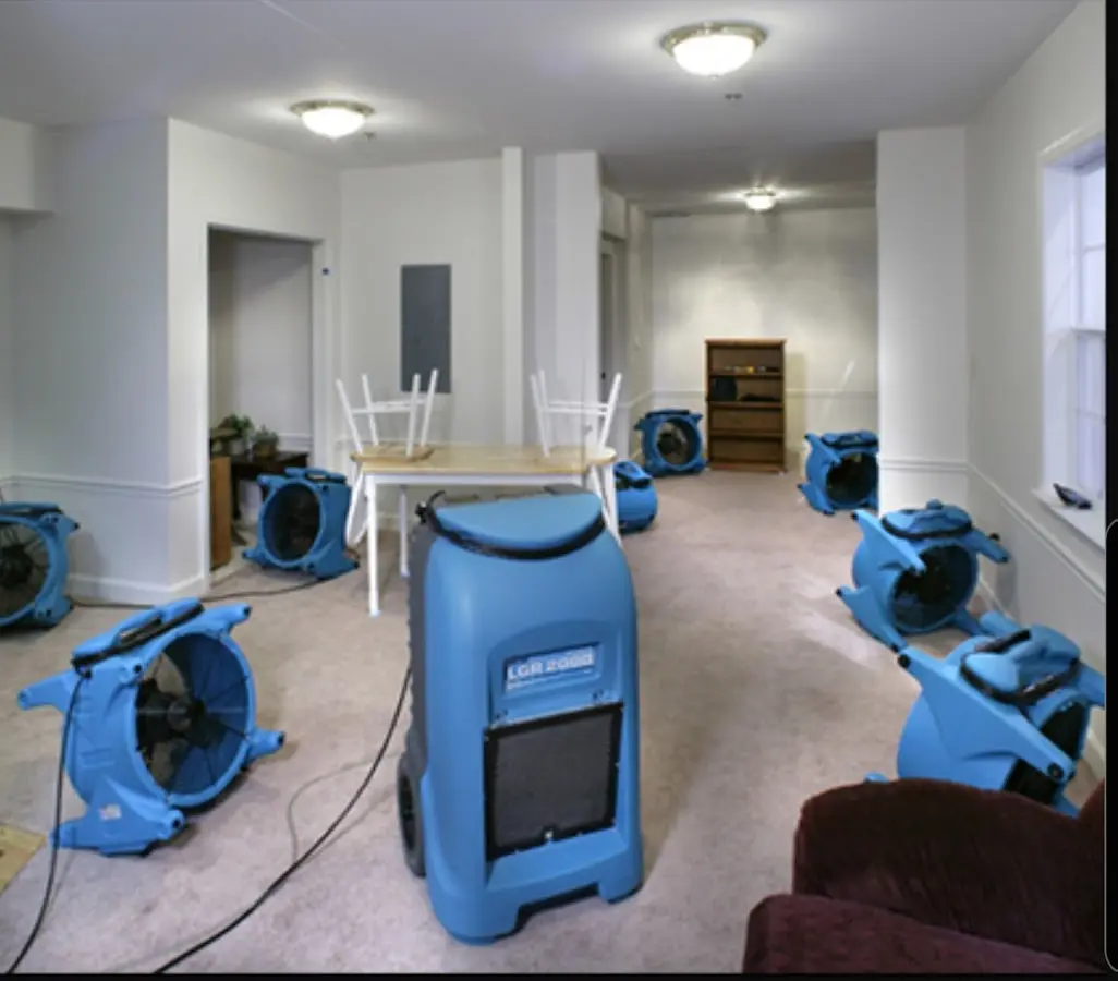 Air movers and dehumidifier setup for Water Extraction & Removal in Ormond-by-the-Sea